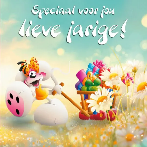 Diddl 3D-wenskaart - Speciaal voor jou lieve jarige!