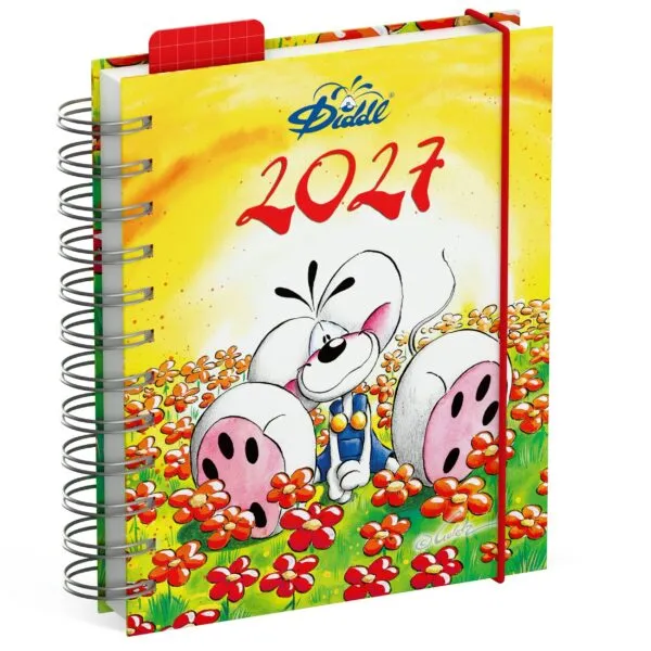 Diddl DIY agenda 2027